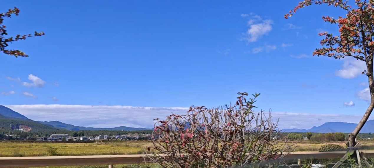 图片2.jpg 图片2.jpg